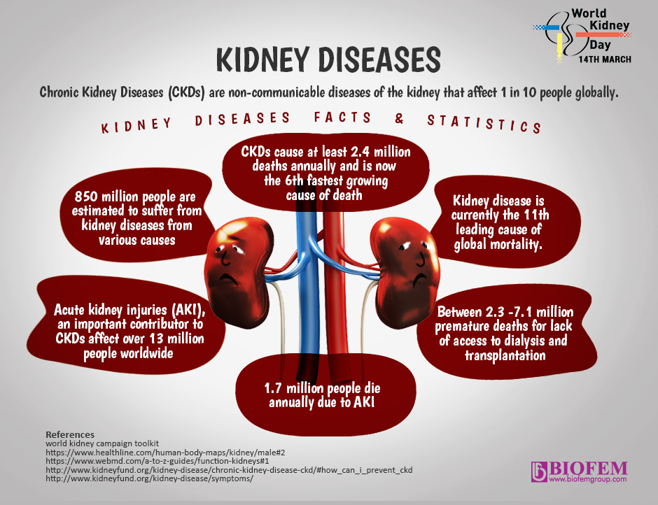 WORLD KIDNEY DAY 2019 to Biofemgroup