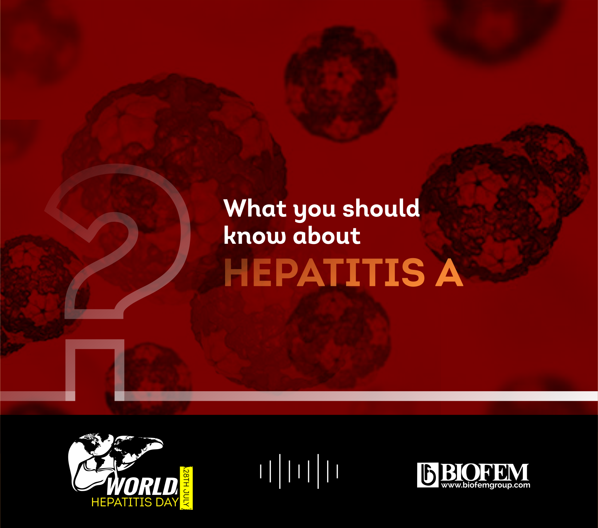 Hepatitis A Causes Symptoms Prevention Welcome To Biofemgroup Hepatitis a b c d e symptoms,Hepatitis A Causes Symptoms Prevention Welcome To Biofemgroup